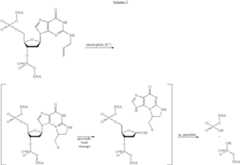 Figure US06825009-20041130-C00055