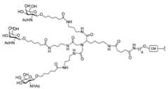 Figure 2023012548000754