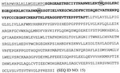 Figure 112020024997108-pat00007