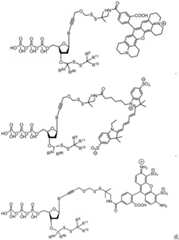 Figure BDA0003670511740002861