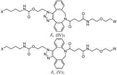 Figure BDA0003590456550000321