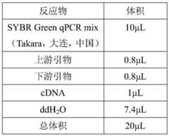 Figure BDA0001672244250000063