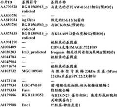 Figure BDA0000057170160001902