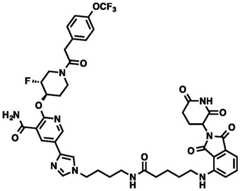 Figure BDA0002964098100002432