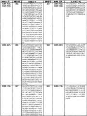 Figure BSA0000239808480001131