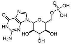 Figure imgf000123_0001
