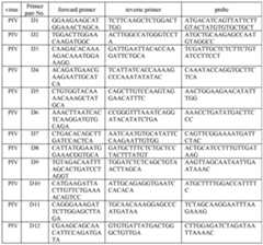 Figure imgf000014_0001