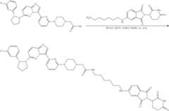 Figure US11969472-20240430-C00285