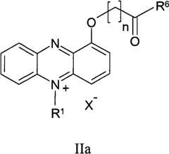 Figure BPA00001263293900061