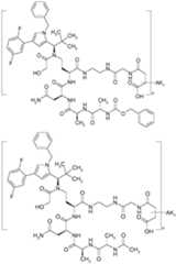 Figure imgf000972_0001