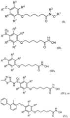 Figure imgf000003_0001