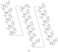 Figure 112021075844870-pat00006