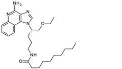 Figure 0007197244000043