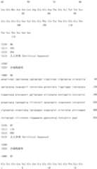 Figure IDA0002581779080000891