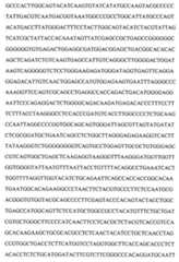 Figure 104109152-A0202-12-0085-16