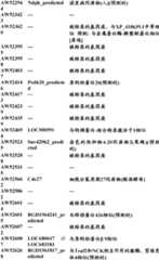 Figure BDA0000057170160001031