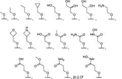 Figure 0007576799000043