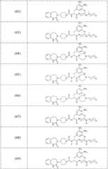 Figure A20068000958600641