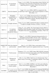 Figure PCTCN2022090268-appb-000046