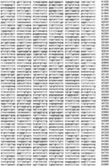 Figure IPA0000293710130000281