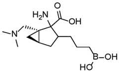 Figure imgf000202_0002