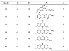 Figure G2009101518411D00091