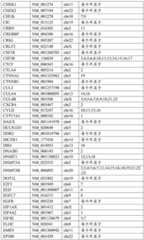 Figure BDA0002159872460000051