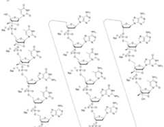 Figure imgf000036_0001