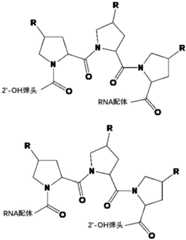 Figure FDA0003723571570000062