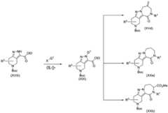 Figure BDA0003265543490001001