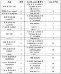 Figure BDA0003357312860004961