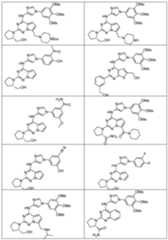 Figure imgf000696_0001