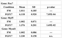 Figure imgf000054_0001