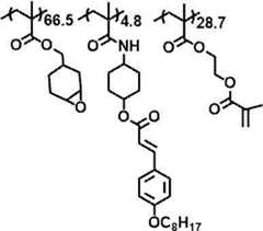 Figure JPOXMLDOC01-appb-C000013