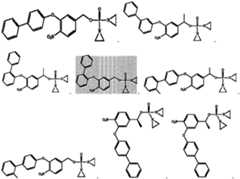 Figure PCTCN2020125123-APPB-100007
