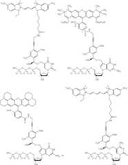 Figure US08889860-20141118-C00119