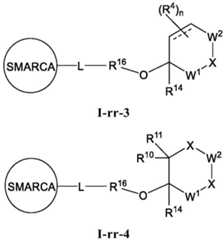 Figure BDA0003783300830001131