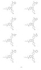 Figure imgf000096_0001