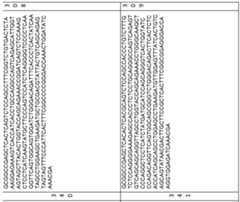 Figure imgf000086_0001