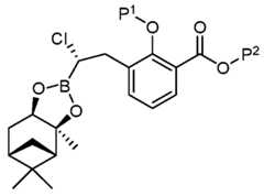 Figure imgf000009_0001