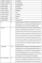 Figure imgf000090_0001