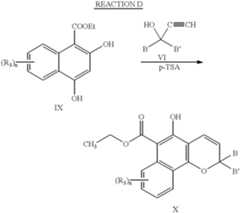 Figure US06353102-20020305-C00008