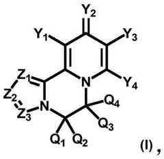 Figure FDA0003141290400000011