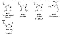 Figure imgf000056_0002