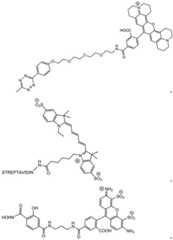 Figure BDA0003670511740002072