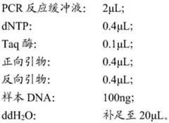 Figure FDA0002575226840000011
