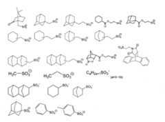 Figure 0007394591000073