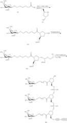 Figure US09181549-20151110-C00709