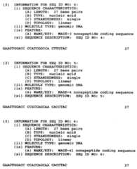 Figure imgf000025_0001