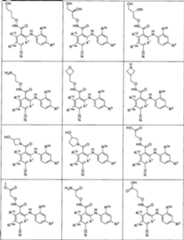 Figure 0007576799000020